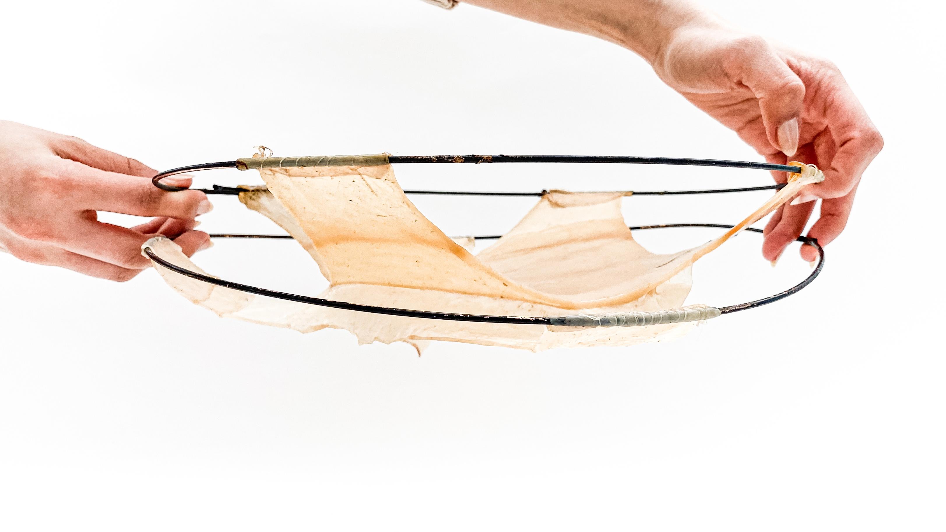 Original Skin Machine photograph of a thin cellulose membrane held between flexible supporting rods by two hands.